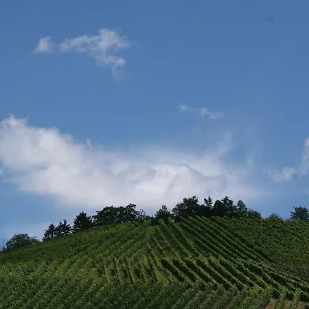 Гостевой дом Hotel-pension Adler Untertuerkheim 3*