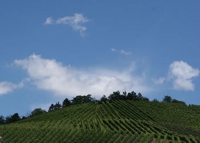 Gasthof Hotel-pension Adler Untertürkheim 3*