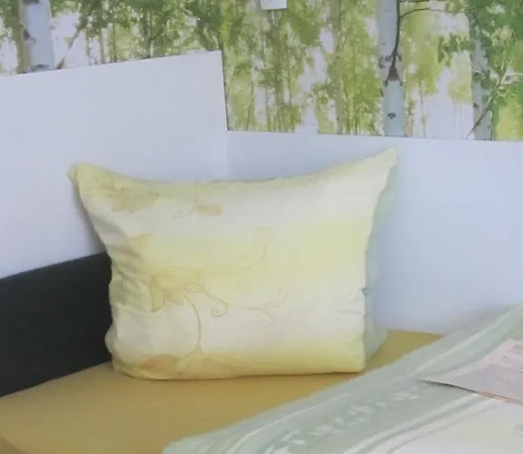 Hotel-pension Adler Untertürkheim Gasthof